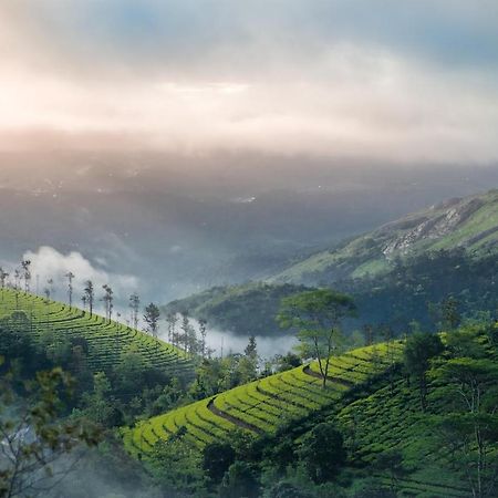 Vaga Mist Resort Vagamon Idukki Eksteriør bilde