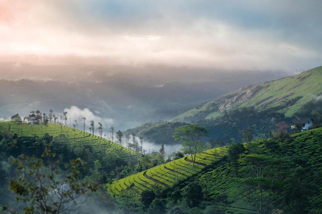 Vaga Mist Resort Vagamon Idukki Eksteriør bilde