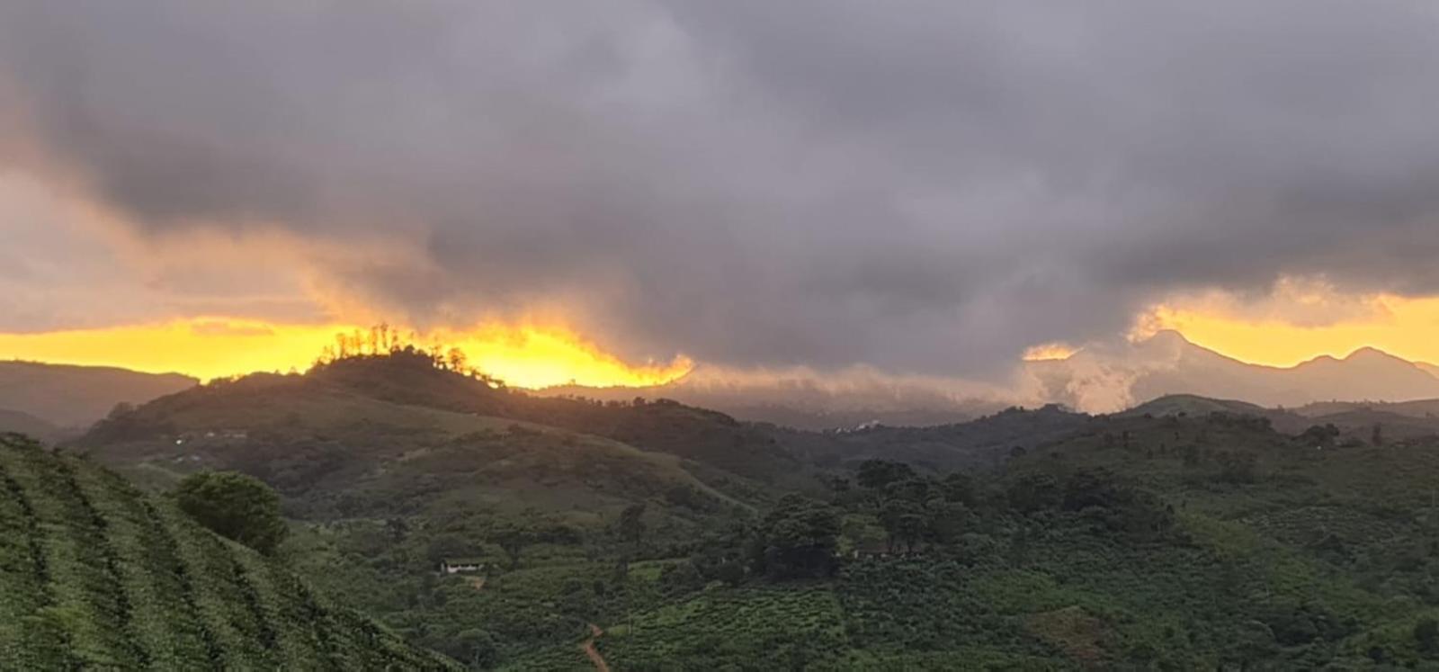 Vaga Mist Resort Vagamon Idukki Eksteriør bilde
